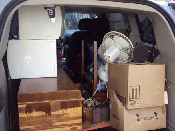 Best Carpet Removal and Disposal  in Basile, LA
